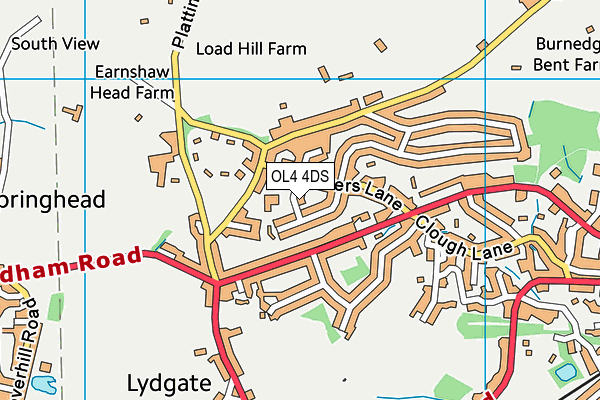 St Anne's CofE Lydgate Primary School map (OL4 4DS) - OS VectorMap District (Ordnance Survey)