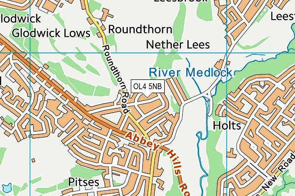 OL4 5NB map - OS VectorMap District (Ordnance Survey)