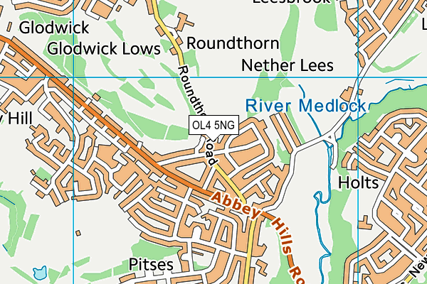 OL4 5NG map - OS VectorMap District (Ordnance Survey)