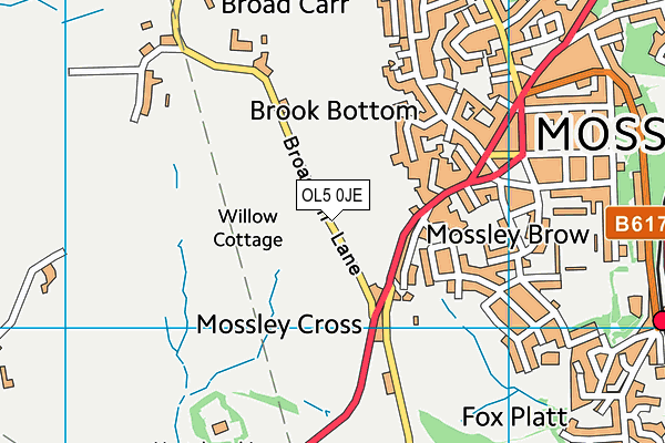 OL5 0JE map - OS VectorMap District (Ordnance Survey)