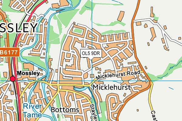 Micklehurst All Saints CofE Primary School map (OL5 9DR) - OS VectorMap District (Ordnance Survey)