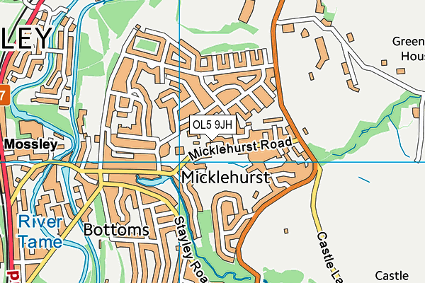 OL5 9JH map - OS VectorMap District (Ordnance Survey)