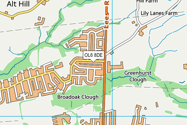 OL6 8DE map - OS VectorMap District (Ordnance Survey)