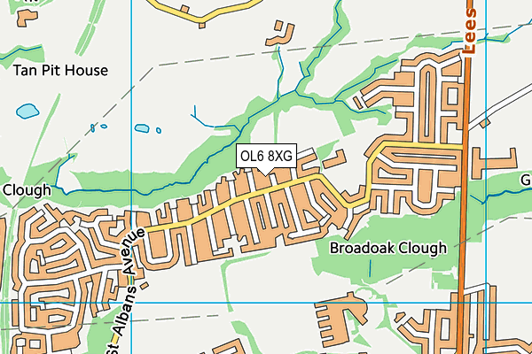 OL6 8XG map - OS VectorMap District (Ordnance Survey)