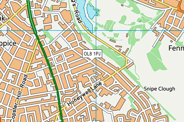 OL8 1PJ map - OS VectorMap District (Ordnance Survey)