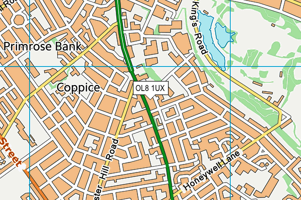 OL8 1UX map - OS VectorMap District (Ordnance Survey)