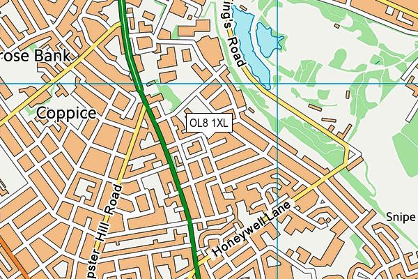 OL8 1XL map - OS VectorMap District (Ordnance Survey)