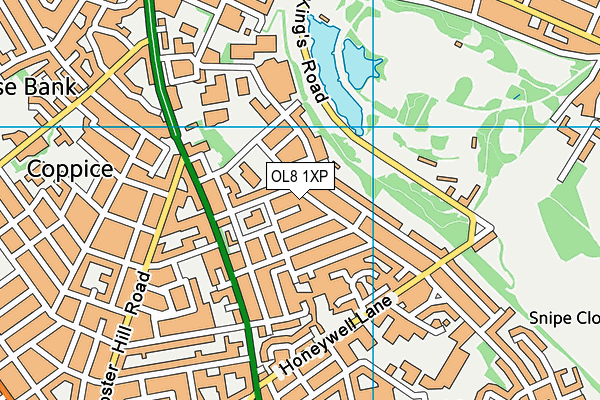 OL8 1XP map - OS VectorMap District (Ordnance Survey)