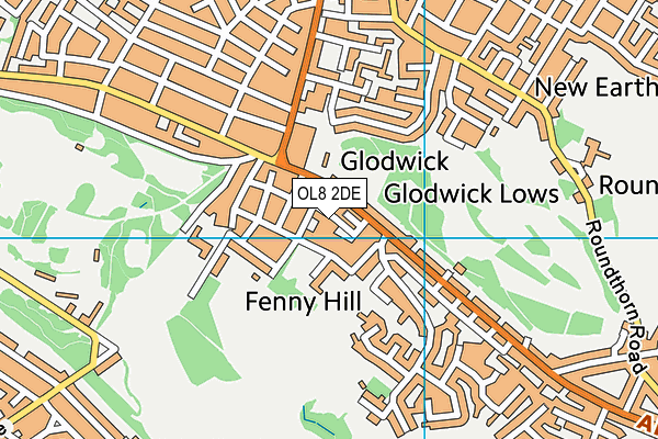 OL8 2DE map - OS VectorMap District (Ordnance Survey)