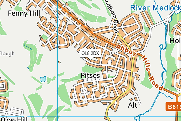 OL8 2DX map - OS VectorMap District (Ordnance Survey)