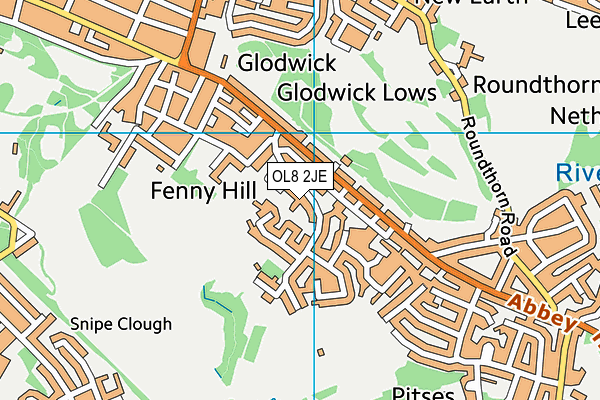 Glodwick Cricket Club map (OL8 2JE) - OS VectorMap District (Ordnance Survey)