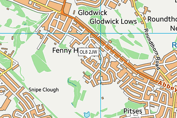 OL8 2JW map - OS VectorMap District (Ordnance Survey)