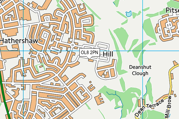 Medlock Valley Primary School map (OL8 2PN) - OS VectorMap District (Ordnance Survey)