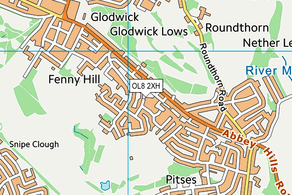 OL8 2XH map - OS VectorMap District (Ordnance Survey)