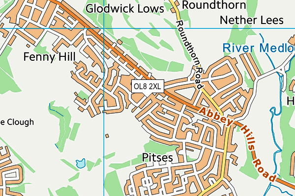 OL8 2XL map - OS VectorMap District (Ordnance Survey)