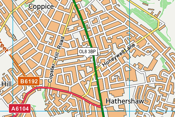 OL8 3BP map - OS VectorMap District (Ordnance Survey)