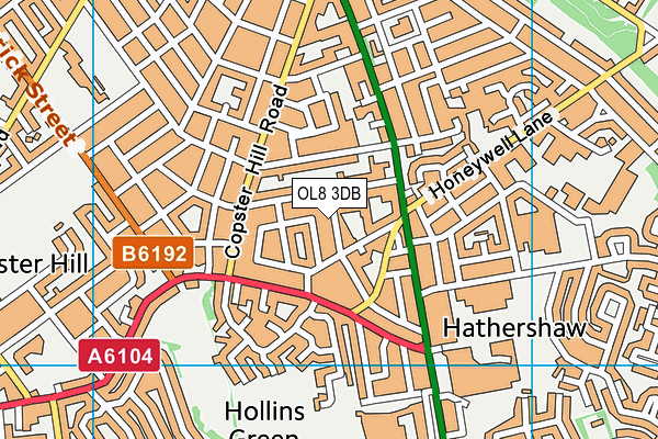 OL8 3DB map - OS VectorMap District (Ordnance Survey)