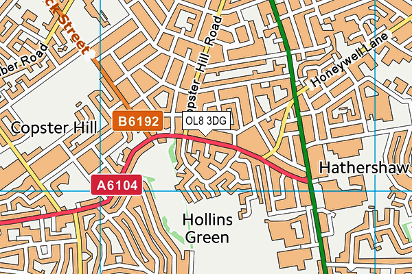 OL8 3DG map - OS VectorMap District (Ordnance Survey)