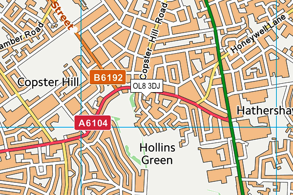 OL8 3DJ map - OS VectorMap District (Ordnance Survey)