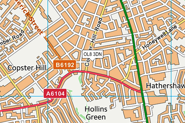 OL8 3DN map - OS VectorMap District (Ordnance Survey)