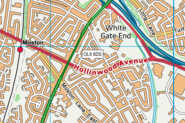 OL9 8DS map - OS VectorMap District (Ordnance Survey)