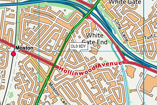 OL9 8DY map - OS VectorMap District (Ordnance Survey)