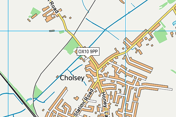 Cholsey Primary School map (OX10 9PP) - OS VectorMap District (Ordnance Survey)