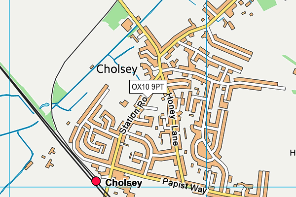 Cholsey Recreation Ground map (OX10 9PT) - OS VectorMap District (Ordnance Survey)