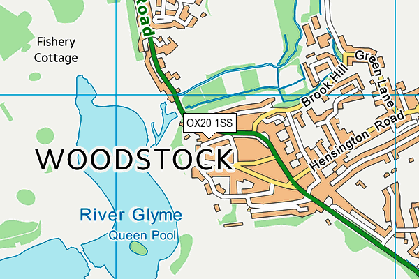 OX20 1SS map - OS VectorMap District (Ordnance Survey)