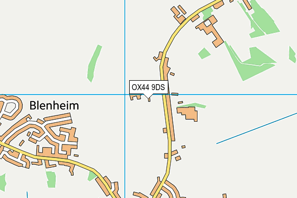 OX44 9DS map - OS VectorMap District (Ordnance Survey)
