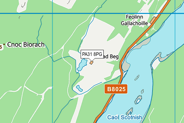 PA31 8PG map - OS VectorMap District (Ordnance Survey)