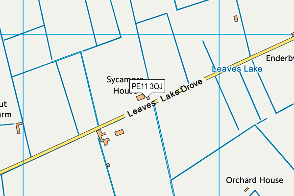 Leaveslake Drove Playing Field map (PE11 3QJ) - OS VectorMap District (Ordnance Survey)