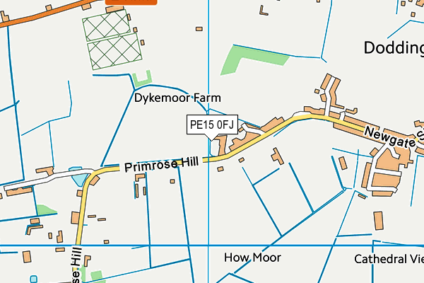 PE15 0FJ map - OS VectorMap District (Ordnance Survey)