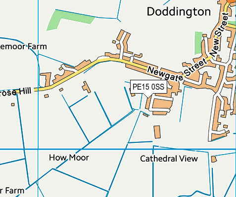 PE15 0SS map - OS VectorMap District (Ordnance Survey)