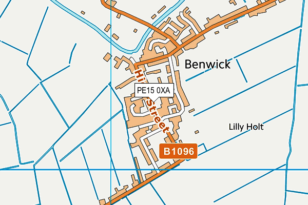 Benwick Primary School map (PE15 0XA) - OS VectorMap District (Ordnance Survey)