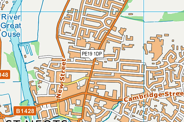 PE19 1DP map - OS VectorMap District (Ordnance Survey)