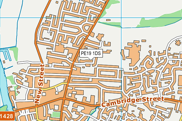 PE19 1DS map - OS VectorMap District (Ordnance Survey)