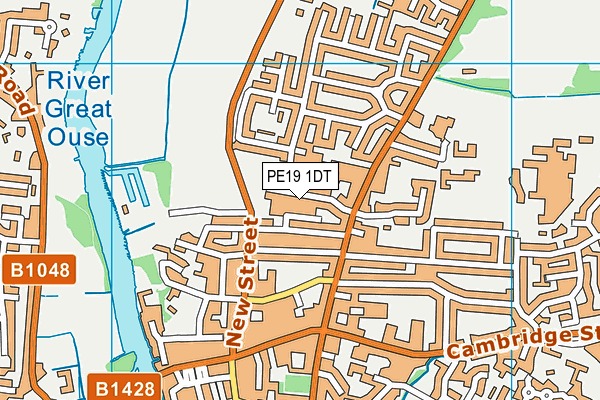 PE19 1DT map - OS VectorMap District (Ordnance Survey)