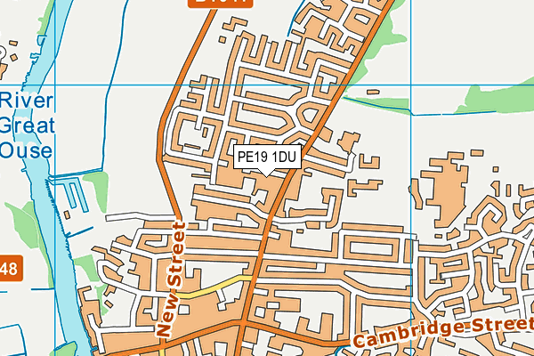 PE19 1DU map - OS VectorMap District (Ordnance Survey)