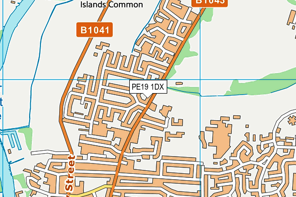 PE19 1DX map - OS VectorMap District (Ordnance Survey)