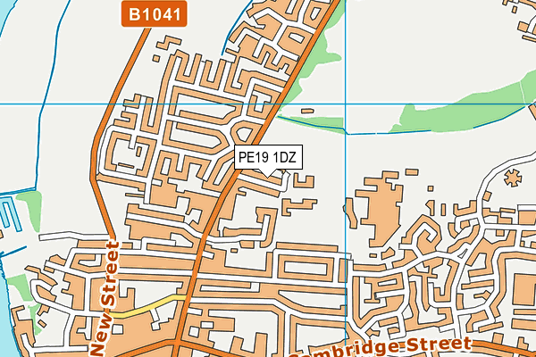 PE19 1DZ map - OS VectorMap District (Ordnance Survey)