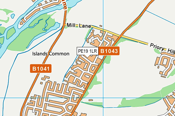 PE19 1LR map - OS VectorMap District (Ordnance Survey)