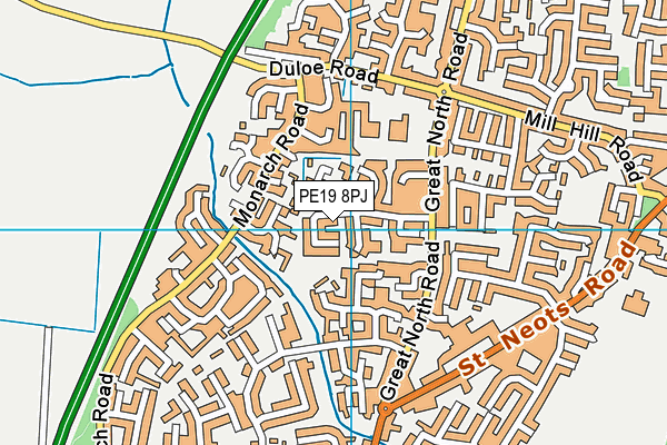 PE19 8PJ map - OS VectorMap District (Ordnance Survey)