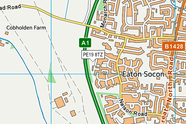 PE19 8TZ map - OS VectorMap District (Ordnance Survey)