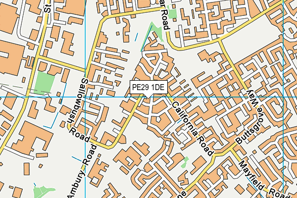 PE29 1DE map - OS VectorMap District (Ordnance Survey)