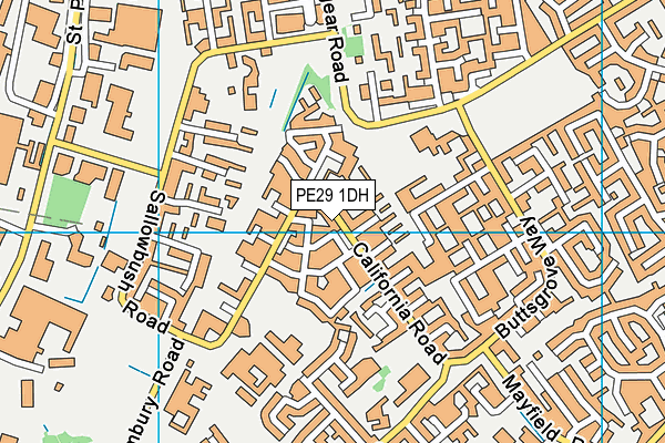 PE29 1DH map - OS VectorMap District (Ordnance Survey)