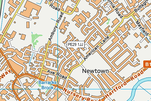 PE29 1JJ map - OS VectorMap District (Ordnance Survey)