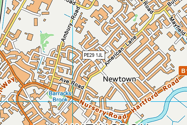 PE29 1JL map - OS VectorMap District (Ordnance Survey)