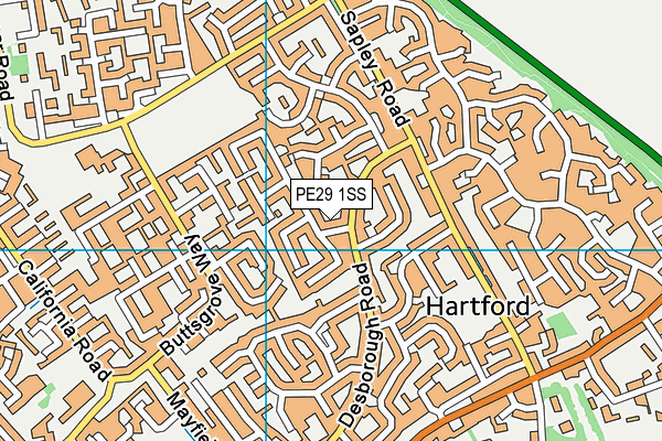 PE29 1SS map - OS VectorMap District (Ordnance Survey)