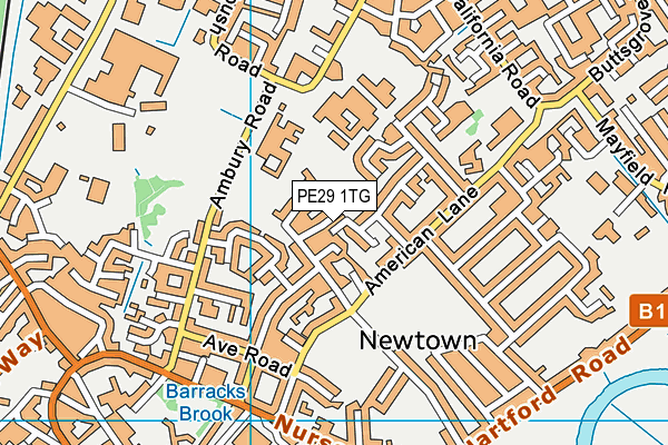 PE29 1TG map - OS VectorMap District (Ordnance Survey)